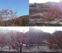爱游戏(ayx)中国体育-包含Q葎m?
